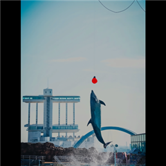 市バス沿線フォトコンテスト港区編の優秀賞作品の画像です