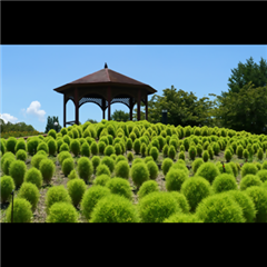 市バス沿線フォトコンテスト港区編の入賞作品の画像です