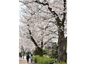 すいどうみち緑道