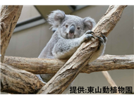 東山動植物園写真