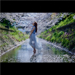 山崎川で撮影された千種区こあらっち賞受賞作品