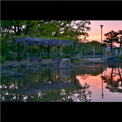 鶴舞公園で撮影された昭和区ショウちゃん賞受賞作品