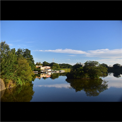 大高緑地で撮影された入賞受賞作品