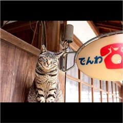 龍泉寺で撮影された入賞受賞作品