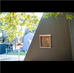 ヤネルで撮影された守山区モリスちゃん賞受賞作品