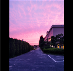 愛知県立中村高等学校前で撮影されたハッチー賞受賞作品