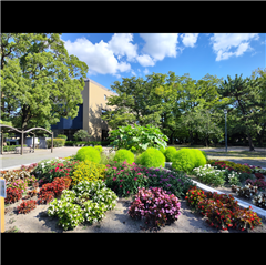 中村公園（香りの園）で撮影された中村区役所特別賞受賞作品