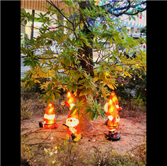 イオンタウン名西で撮影された入賞受賞作品