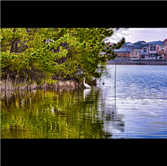 牧野ケ池緑地で撮影された入賞受賞作品
