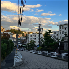 市バス沿線フォトコンテスト天白区編のハッチー賞作品の画像です