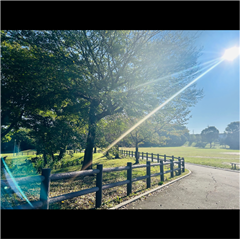 市バス沿線フォトコンテスト天白区編のハッチー賞作品の画像です