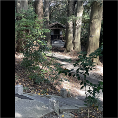 市バス沿線フォトコンテスト天白区編の天白区特別賞作品の画像です