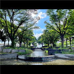 市バス沿線フォトコンテスト港区編の優秀賞作品の画像です