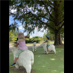 市バス沿線フォトコンテスト港区編の入賞作品の画像です